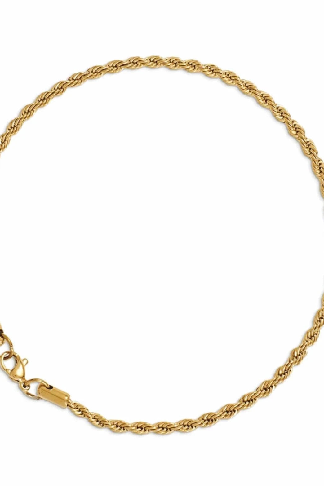 Ellie Vail earrings Tate Rope Chain // ANKLET